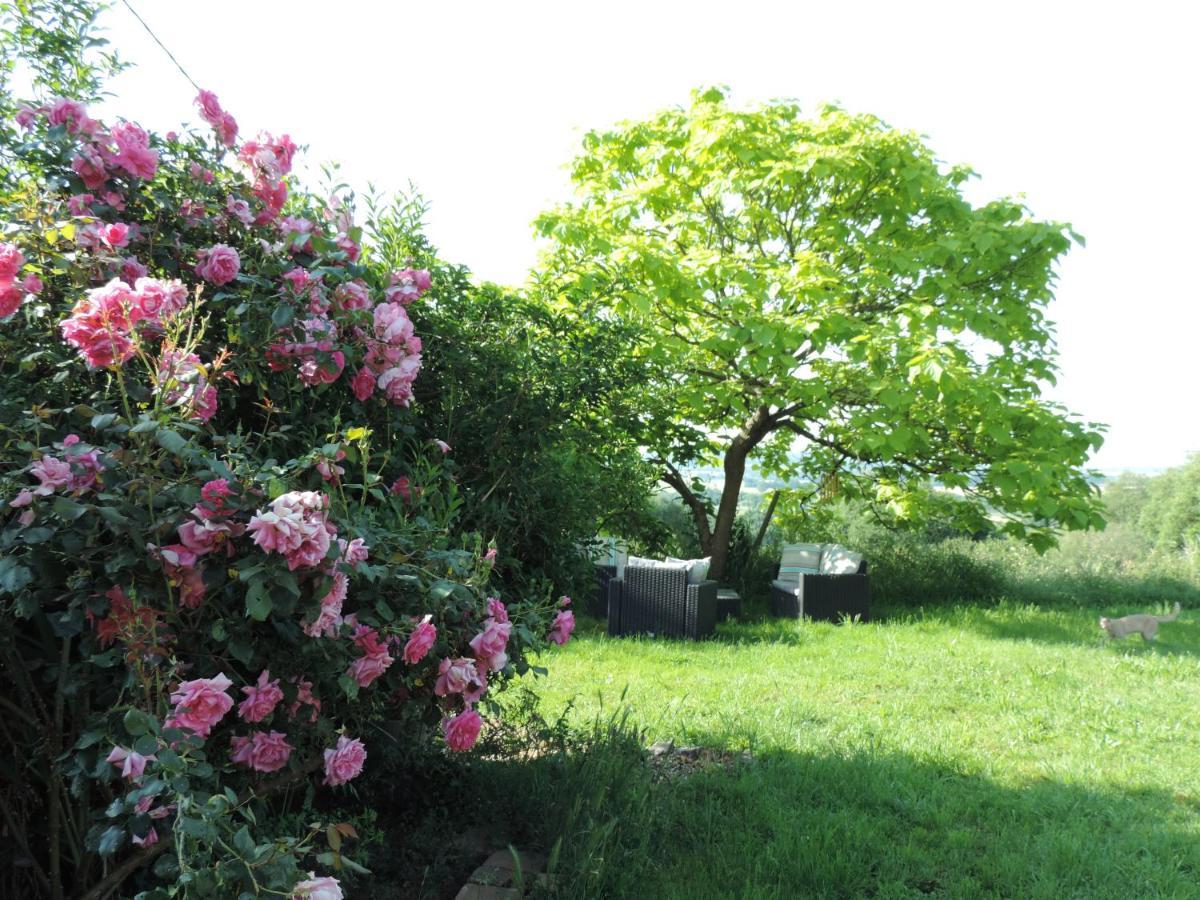 Le Clos Fleuri Ségrie Exteriör bild